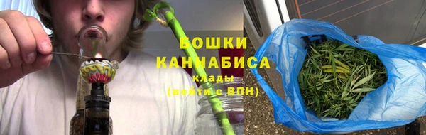 ПСИЛОЦИБИНОВЫЕ ГРИБЫ Новозыбков