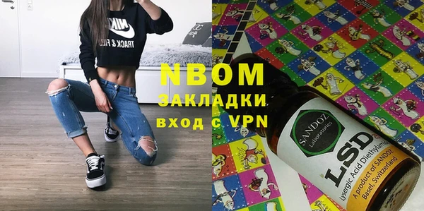 ПСИЛОЦИБИНОВЫЕ ГРИБЫ Новозыбков