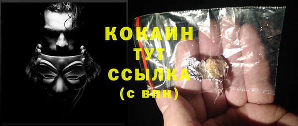 ПСИЛОЦИБИНОВЫЕ ГРИБЫ Новозыбков