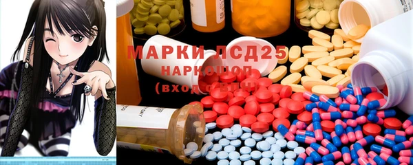 ПСИЛОЦИБИНОВЫЕ ГРИБЫ Новозыбков