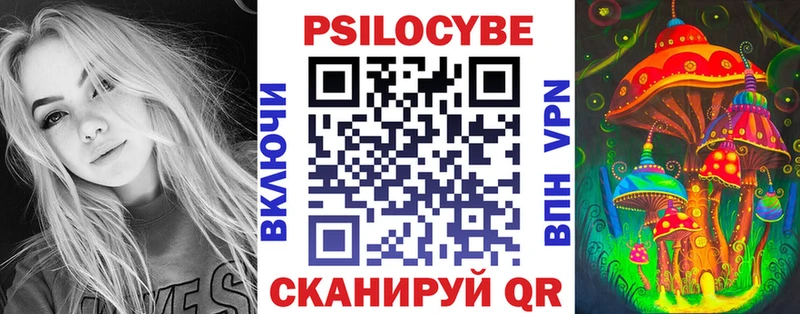 купить закладку  Кинель  Галлюциногенные грибы MAGIC MUSHROOMS 