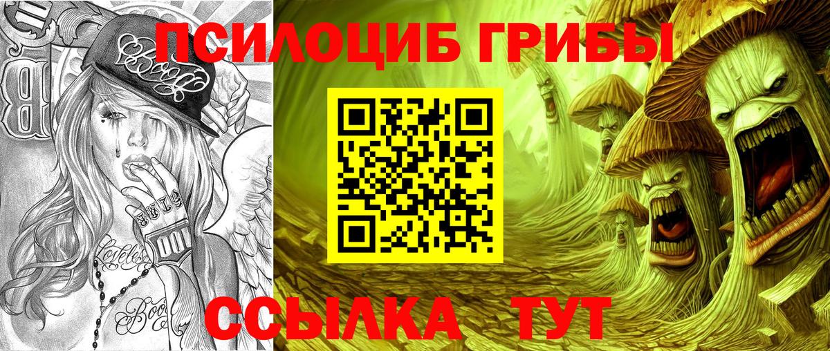 Кинель  Галлюциногенные грибы Magic Shrooms  Вход с VPN  Псилоцибиновые грибы прущие грибы 