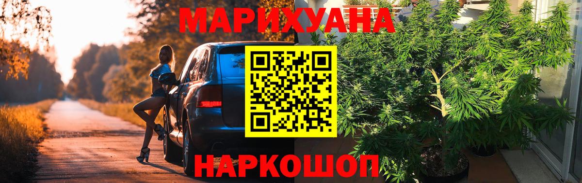 Конопля марихуана  Марихуана Bruce Banner  Вход с VPN  Каннабис план  Кинель 
